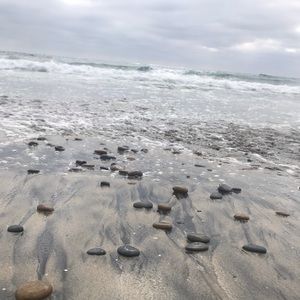 Meet your Posher, Riley